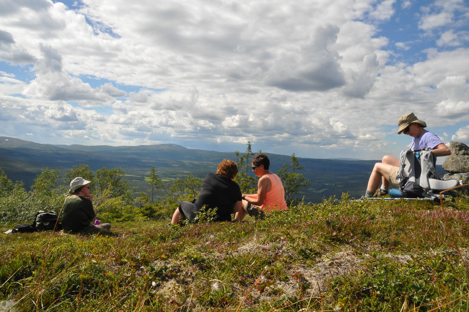 Langs Romboleden fra Sylan til Nidaros
