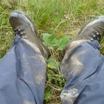 Vandring mot "Nasjonale sår"