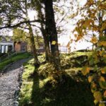 Fra kloster til kloster. Munkeby - Tautra (UTSOLGT)