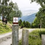 Over Dovrefjell til Nidaros