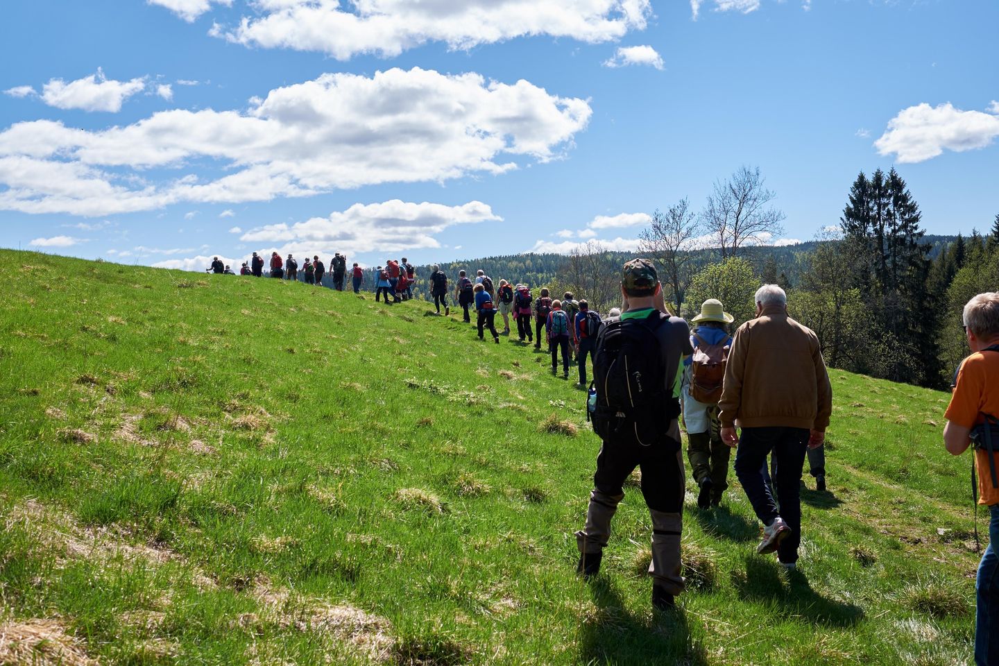 Temakveld "Pilegrimsled"