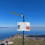 Pilegrimsvandring fra Ranheim kirke til Nidarosdomen