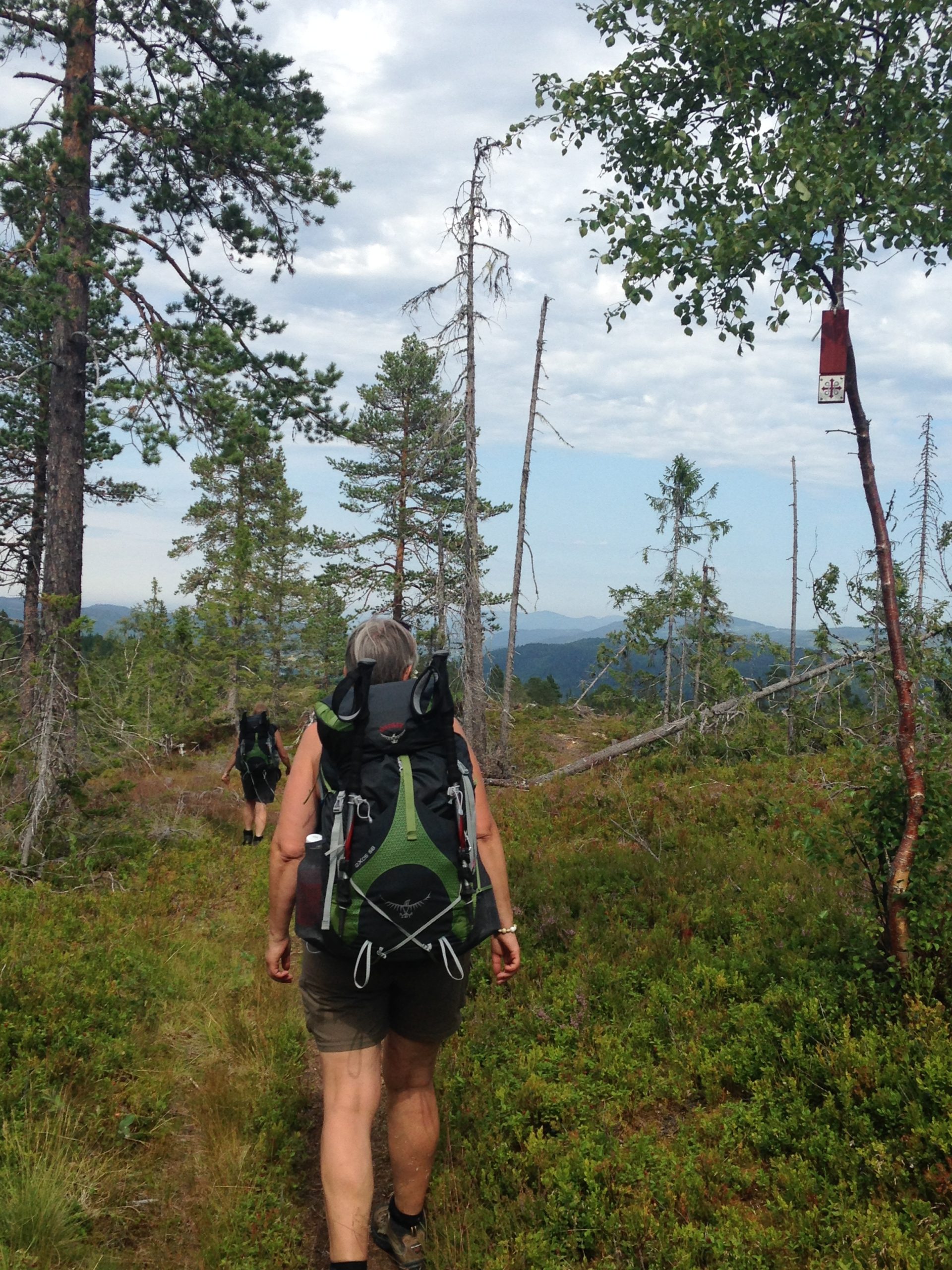 Vandring fra Skaun kirke til Buvik kirke langs Gudbrandsdalsleden